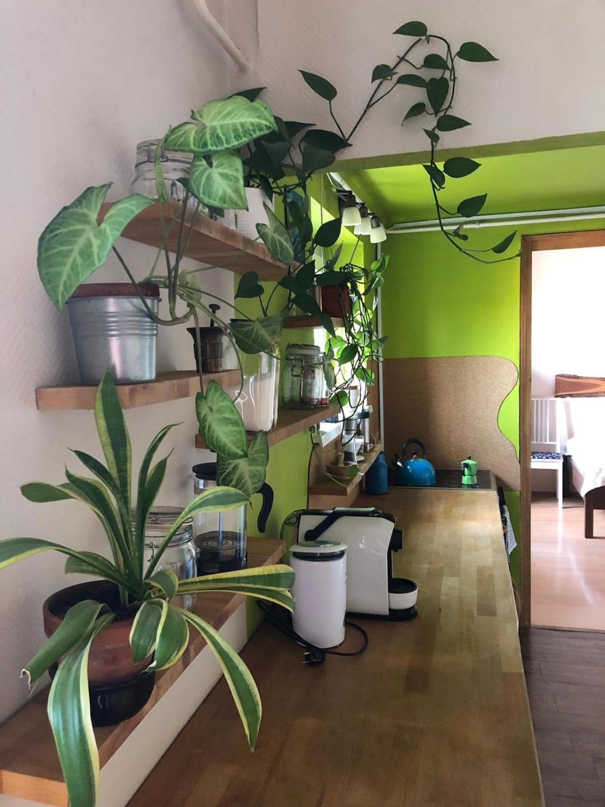 Green Leaves Apartman *